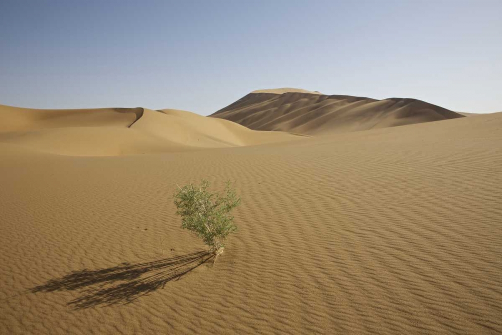 China, Gansu Province Badain Jaran Desert art print by Josh Anon for $57.95 CAD