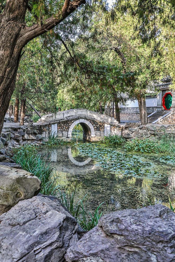 Asia-China-Beijing-Bridge at Summer Palace of Empress Cixi art print by Hollice Looney for $57.95 CAD