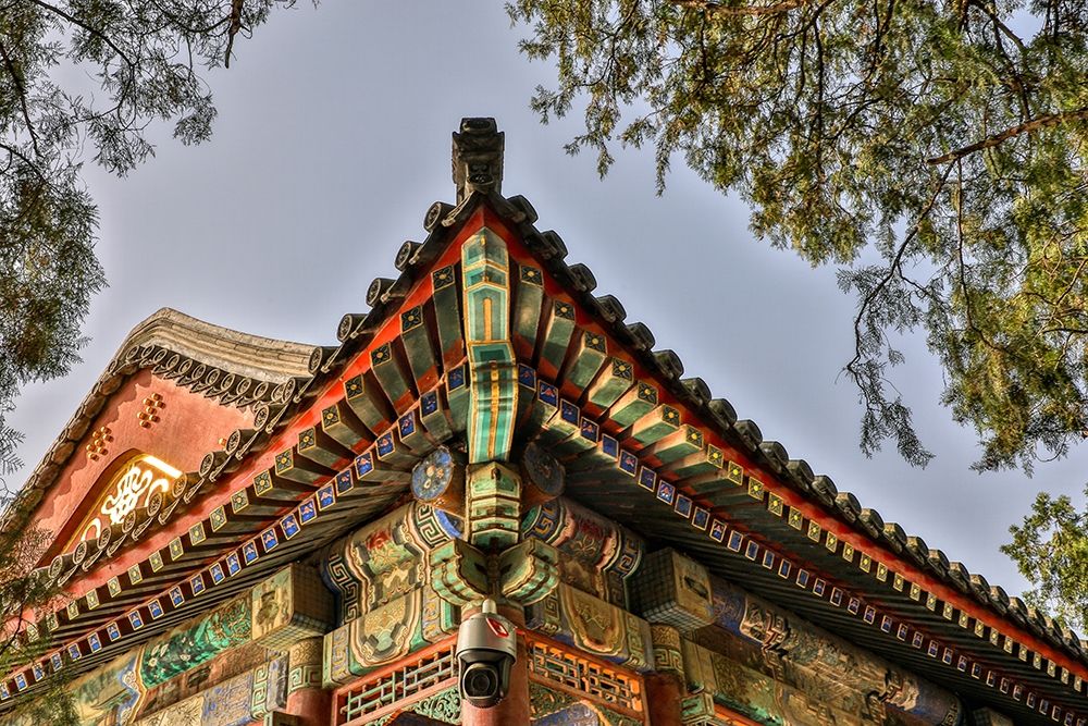 Asia-China-Beijing-Decorative Roof Detail of the Summer Palace of Empress Cixi art print by Hollice Looney for $57.95 CAD