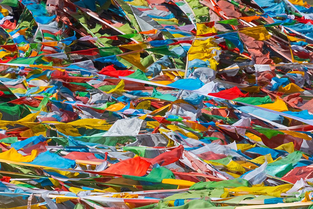 Prayer flags on Tibetan Plateau-Namtso-Lake Nam-Tibet-China art print by Keren Su for $57.95 CAD