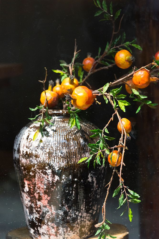 Pomegranate grown from a wine jar-Tangqi Ancient Town-Hangzhou-Zhejiang Province-China art print by Keren Su for $57.95 CAD