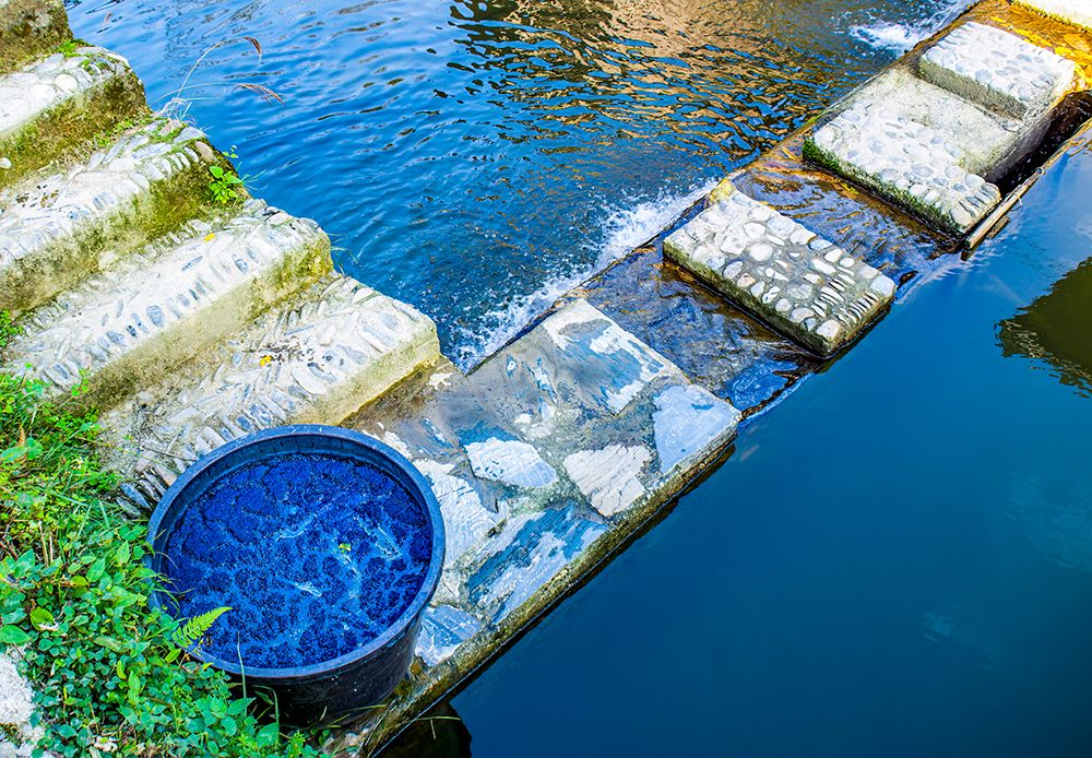 Guizhou Province, China. Indigo leaves soaking in bowl water. Village known for indigo production art print by Murray McCallum for $57.95 CAD