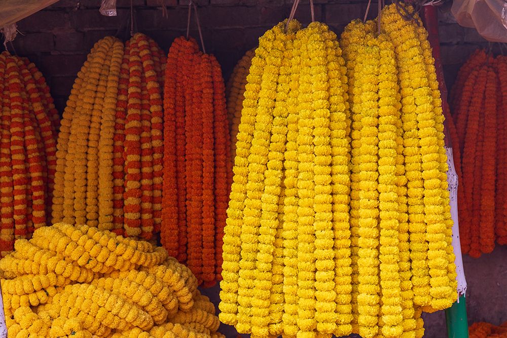 India, West Bengal, Kolkata. Marigolds strung into ropes for necklaces an offerings. art print by Emily M. Wilson for $57.95 CAD
