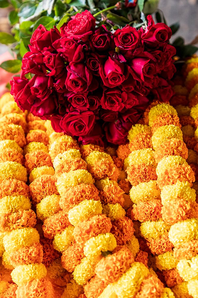 India, West Bengal, Kolkata. Marigolds strung into ropes for necklaces an offerings. art print by Emily M. Wilson for $57.95 CAD