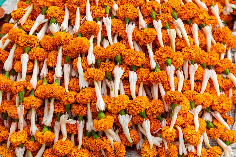 India, West Bengal, Kolkata, Jorasanko. Marigolds for sale. art print by Emily M. Wilson for $57.95 CAD