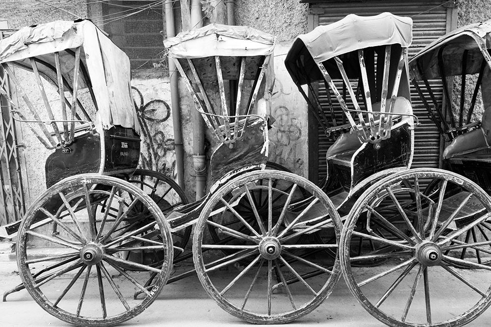 India, West Bengal, Kolkata, College Square. Rickshaws in a line. In BW. art print by Emily M. Wilson for $57.95 CAD