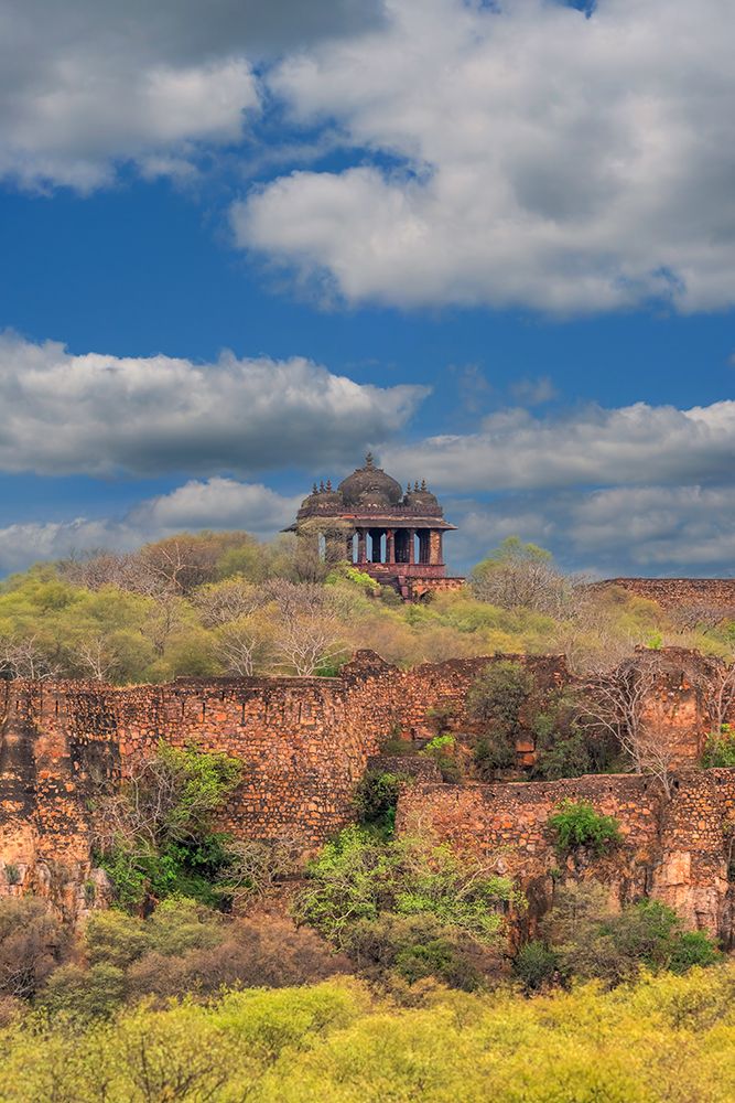 India, Rajasthan. Ranthambore NP. Fortress ruin on the hill built in 944 AD housing Maharajahs art print by Sheila Haddad for $57.95 CAD