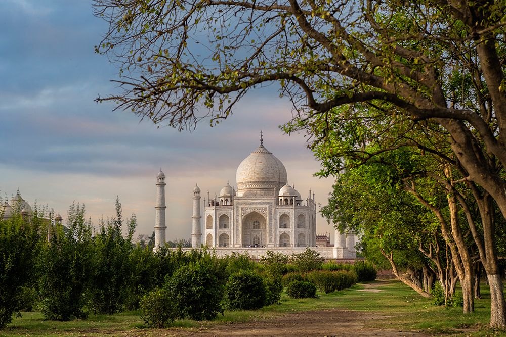 India, Uttar Pradesh, Agra. Taj Mahal, from an orchard and tree lined view in early morning light art print by Sheila Haddad for $57.95 CAD