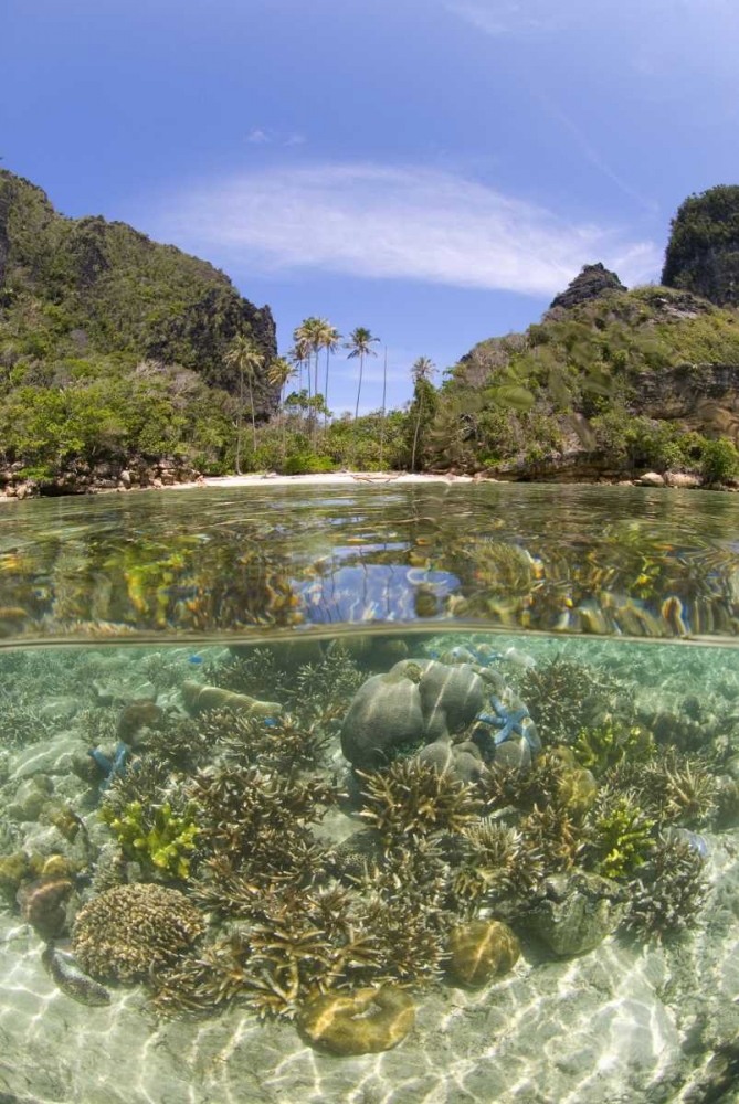 Indonesia, Misool Island Split view of an island art print by Jones Shimlock for $57.95 CAD