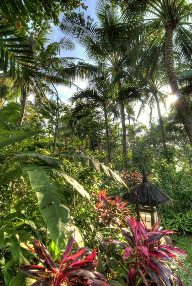 Indonesia, Bali View of vegetation in a Garden art print by Jones Shimlock for $57.95 CAD