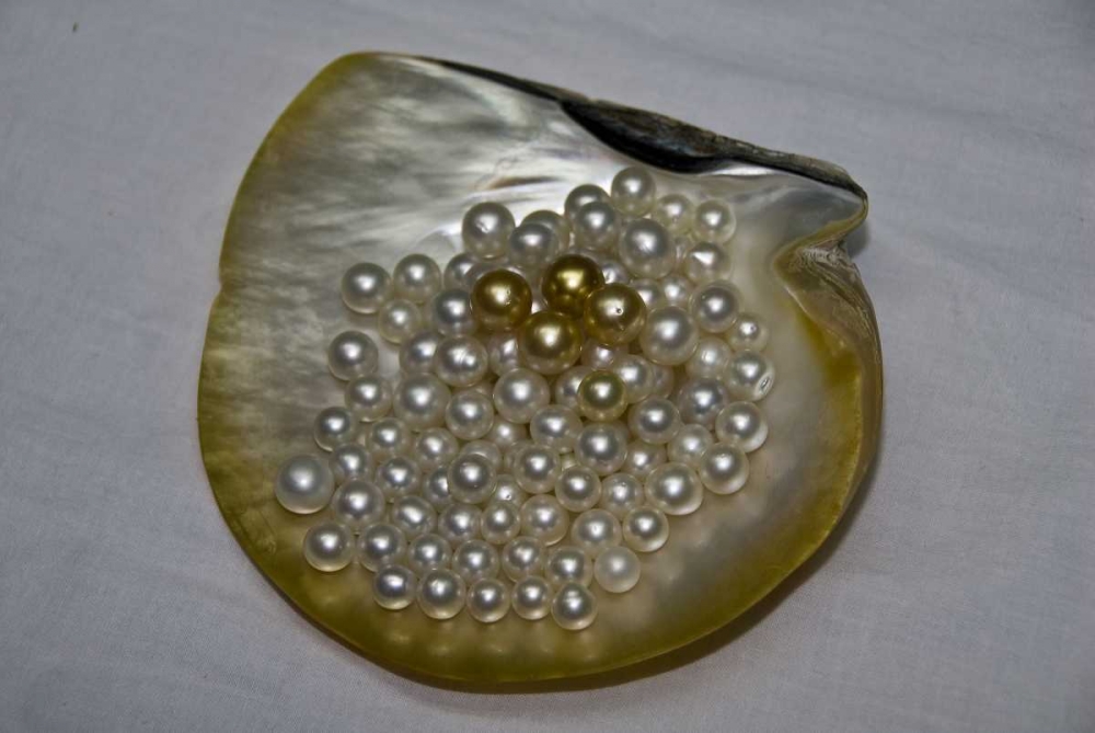 Cendana pearls from Aljui Bay, Papua, Indonesia art print by Jones Shimlock for $57.95 CAD