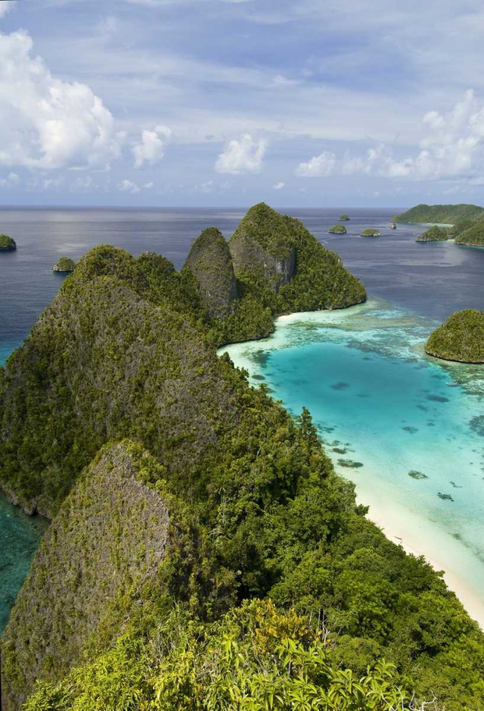 Island vegetation, New Guinea Island, Indonesia art print by Jones Shimlock for $57.95 CAD