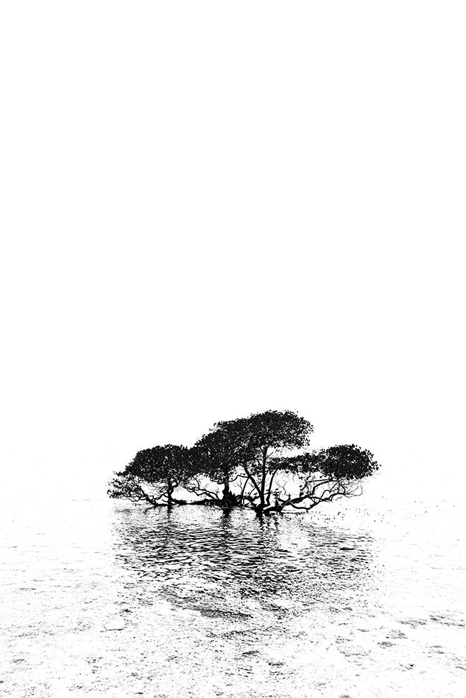 Gili Trawangan Island off the coast of Lombok-Indonesia White sand-clear warm water art print by Greg Johnston for $57.95 CAD