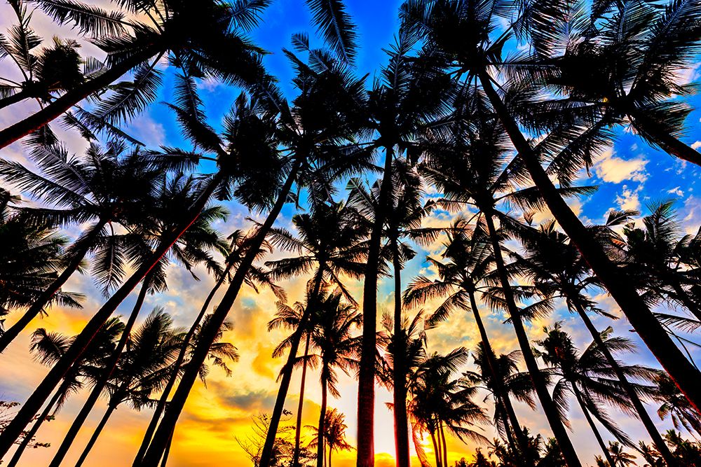 Sunset in Bali, Indonesia, a tropical paradise. art print by Greg Johnston for $57.95 CAD