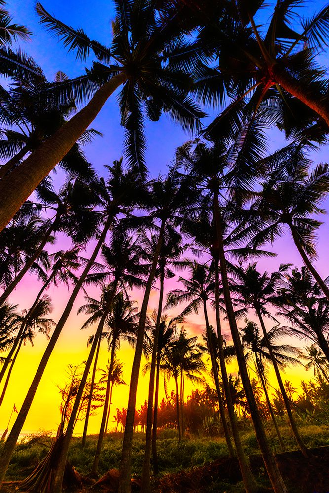 Sunset in Bali, Indonesia, a tropical paradise. art print by Greg Johnston for $57.95 CAD