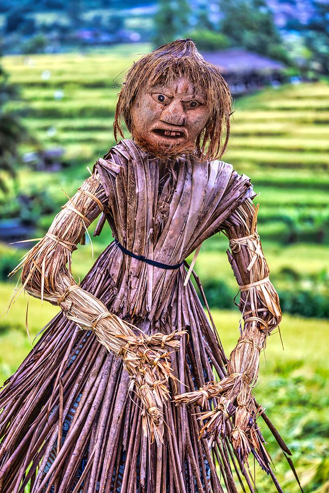 Jatiluwih Rice Terrace is a stunning UNESCO Site, located in the Tabanan Regency of Bali, Indonesia art print by Greg Johnston for $57.95 CAD