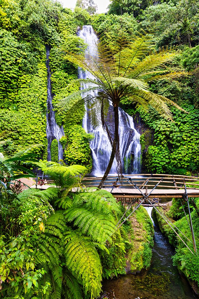 Banyumala Twin Waterfalls, located in the North Bali region near the village of Wanagiri. art print by Greg Johnston for $57.95 CAD