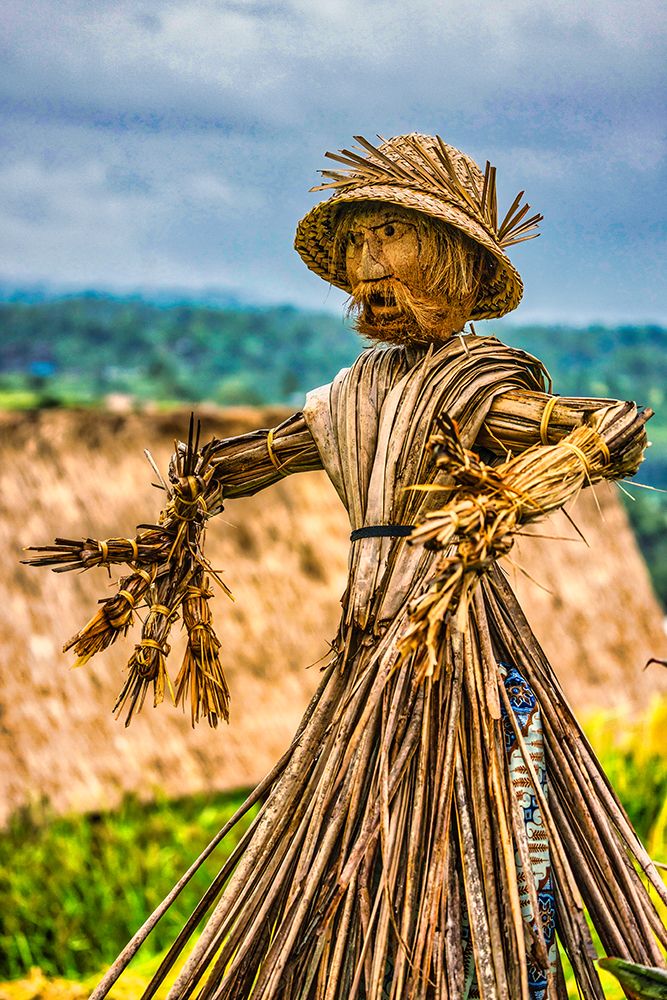Jatiluwih Rice Terrace is a UNESCO Site, located in the Tabanan Regency of Bali, Indonesia. art print by Greg Johnston for $57.95 CAD