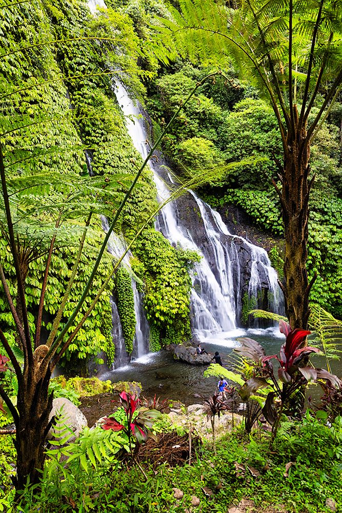 Banyumala Twin Waterfalls, located in the North Bali region near the village of Wanagiri. art print by Greg Johnston for $57.95 CAD