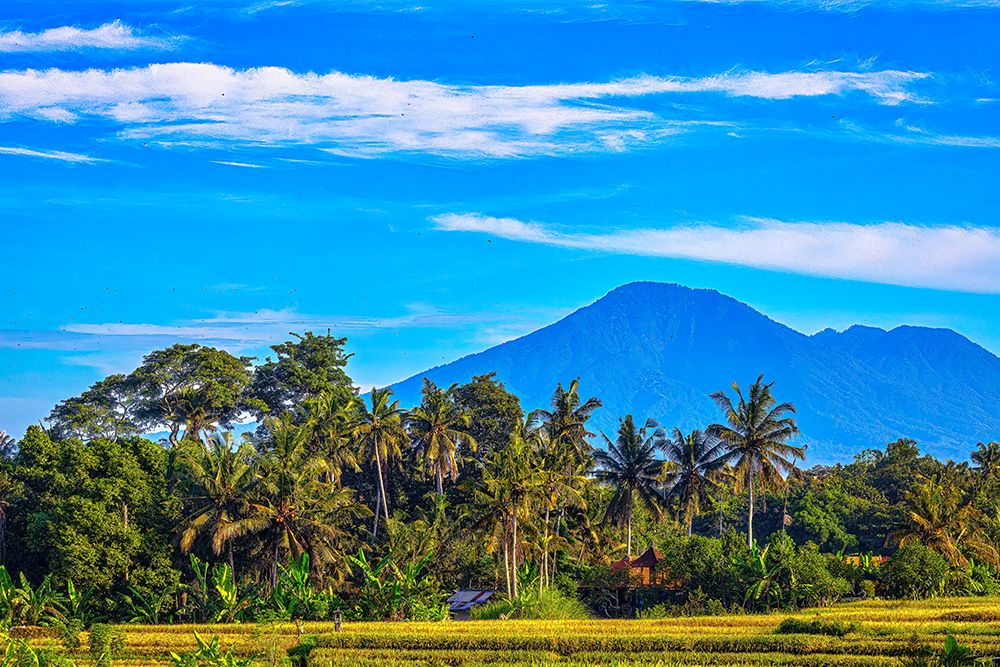 Balis fertile volcanic soil is perfect for rice field farming. art print by Greg Johnston for $57.95 CAD
