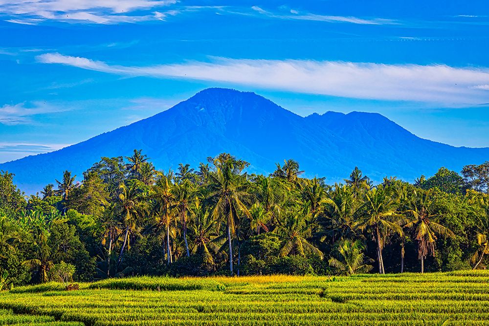 Balis fertile volcanic soil is perfect for rice field farming. art print by Greg Johnston for $57.95 CAD
