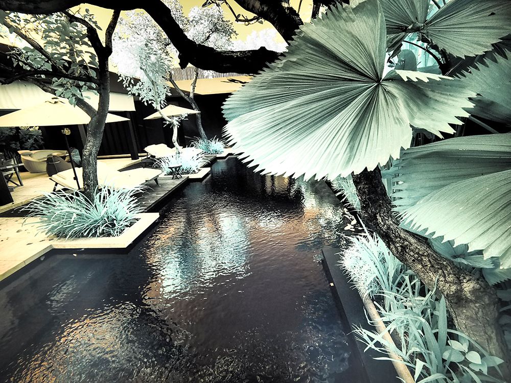 Bali-Ubud-Ponds and pools at hotel in Ubud art print by Terry Eggers for $57.95 CAD