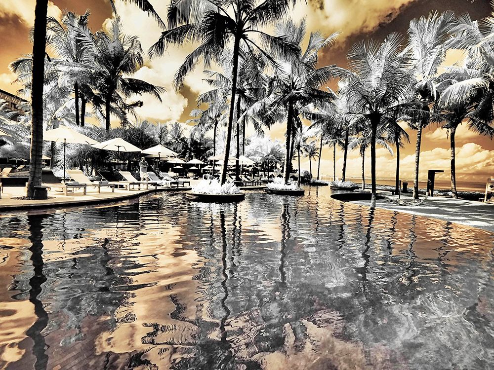 Bali-Ubud-Ponds and pools at hotel in Ubud art print by Terry Eggers for $57.95 CAD