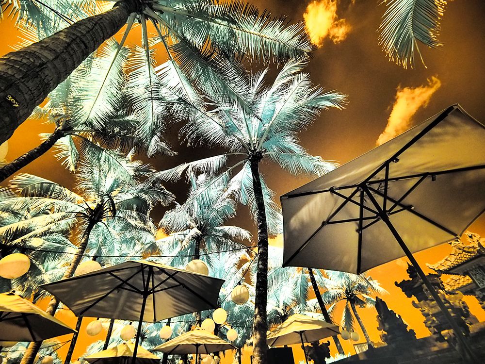 Bali-Ubud-Umbrellas-Ponds and pools at hotel in Ubud art print by Terry Eggers for $57.95 CAD
