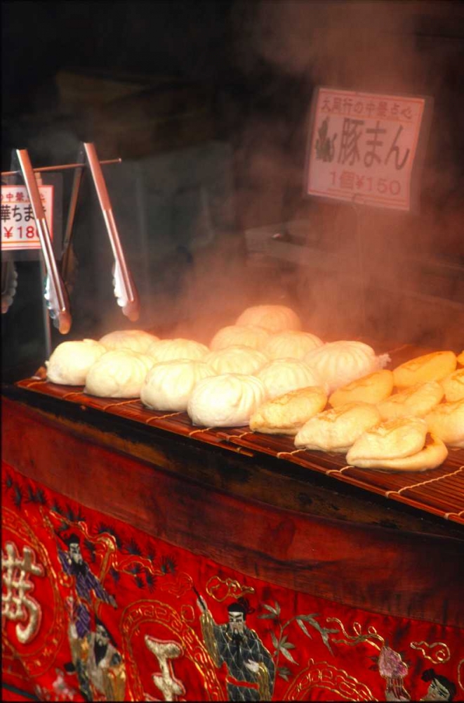 Japan, Kobe Japanese potsticker dumplings art print by Nancy, Steve Ross for $57.95 CAD