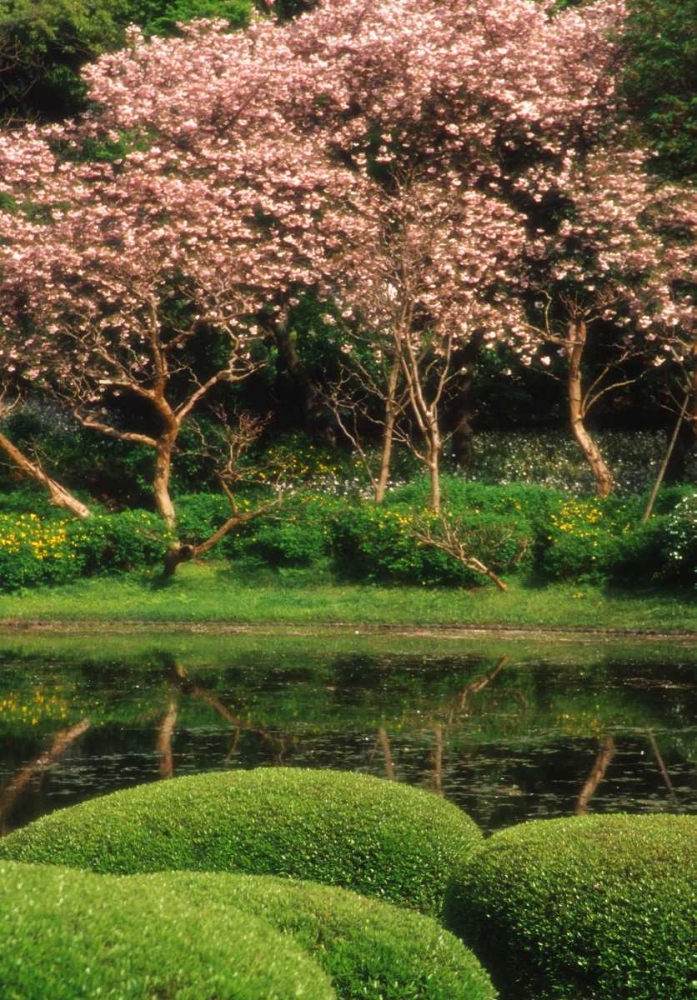 Japan, Tokyo Imperial Palace East Gardens art print by Nancy, Steve Ross for $57.95 CAD