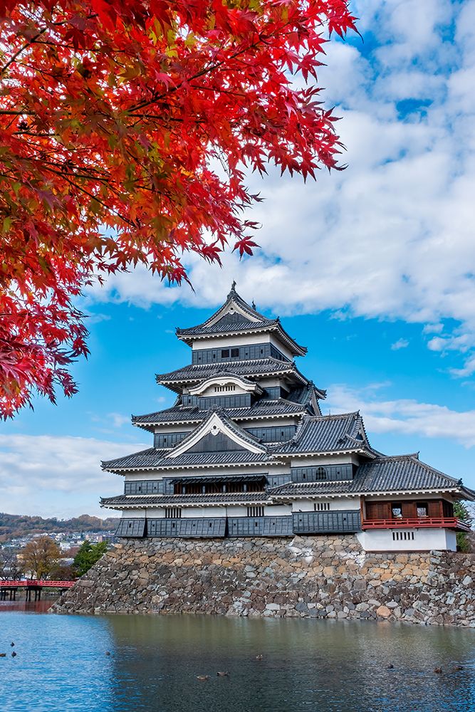 Matsumoto Castle, Matsumoto, Japan art print by Jim Engelbrecht for $57.95 CAD