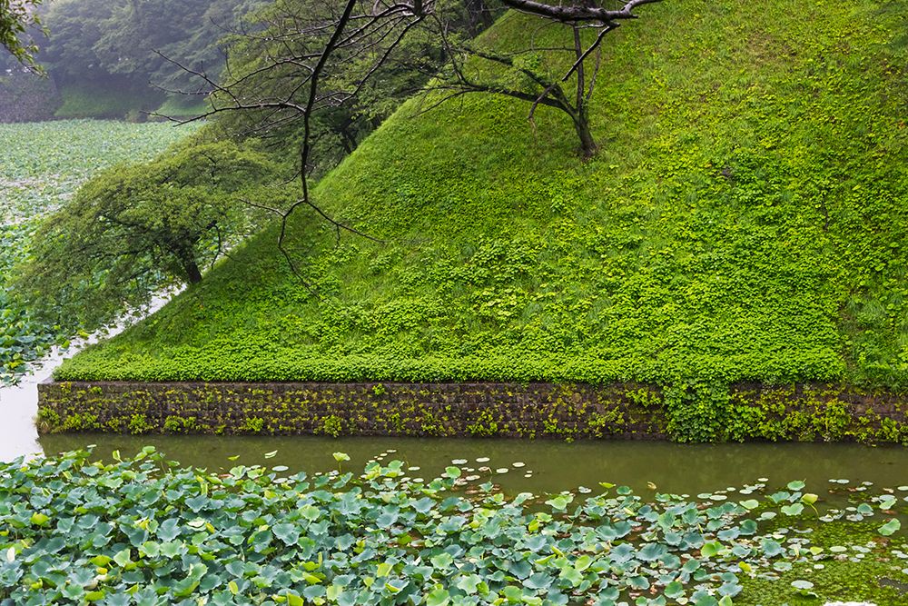 Lotus pond in the Royal Palace-Tokyo-Japan art print by Keren Su for $57.95 CAD