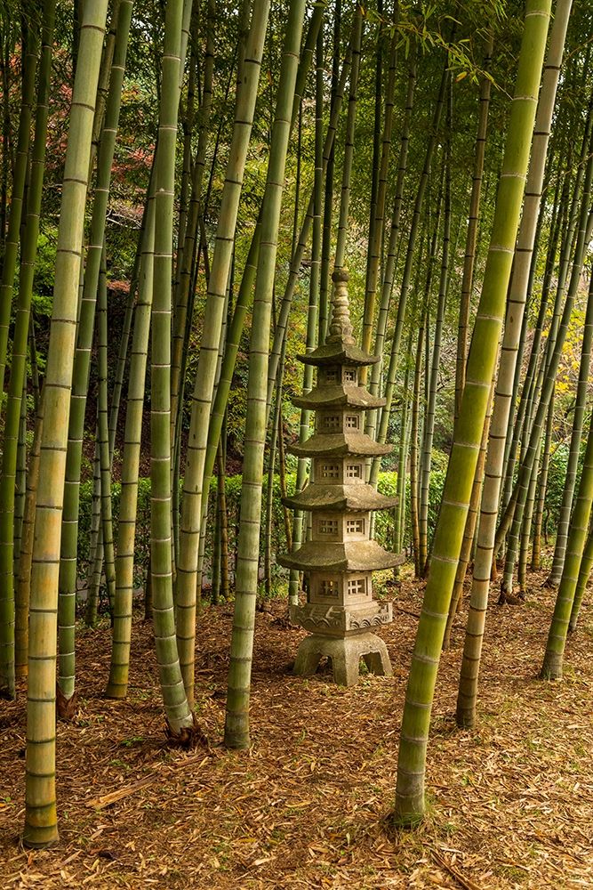 A tall pagoda statue in the center of a tall bamboo grove-Akebonoyama Park-Japan art print by Sheila Haddad for $57.95 CAD