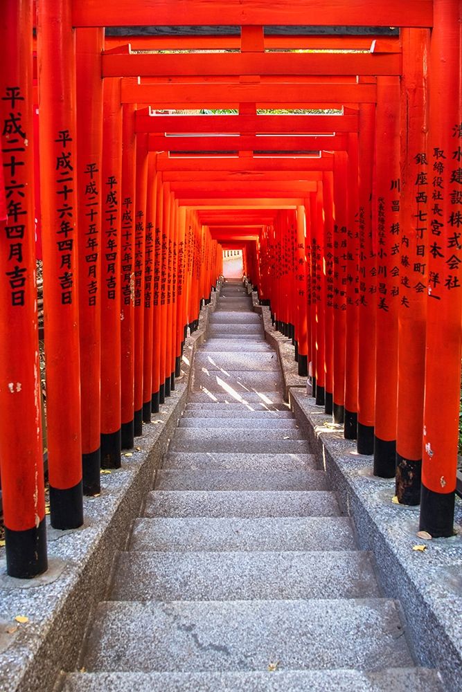 Famous Torii-or gates of the entrance to the Hie Shrine in Tokyo-Japan art print by Sheila Haddad for $57.95 CAD