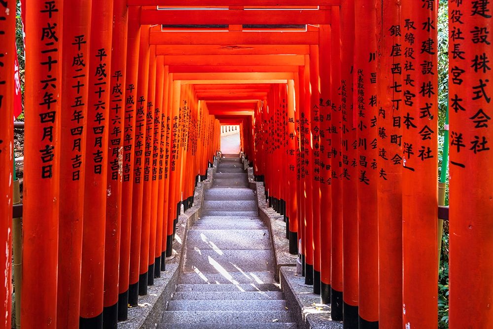 Famous Torii-or gates of the entrance to the Hie Shrine in Tokyo-Japan art print by Sheila Haddad for $57.95 CAD