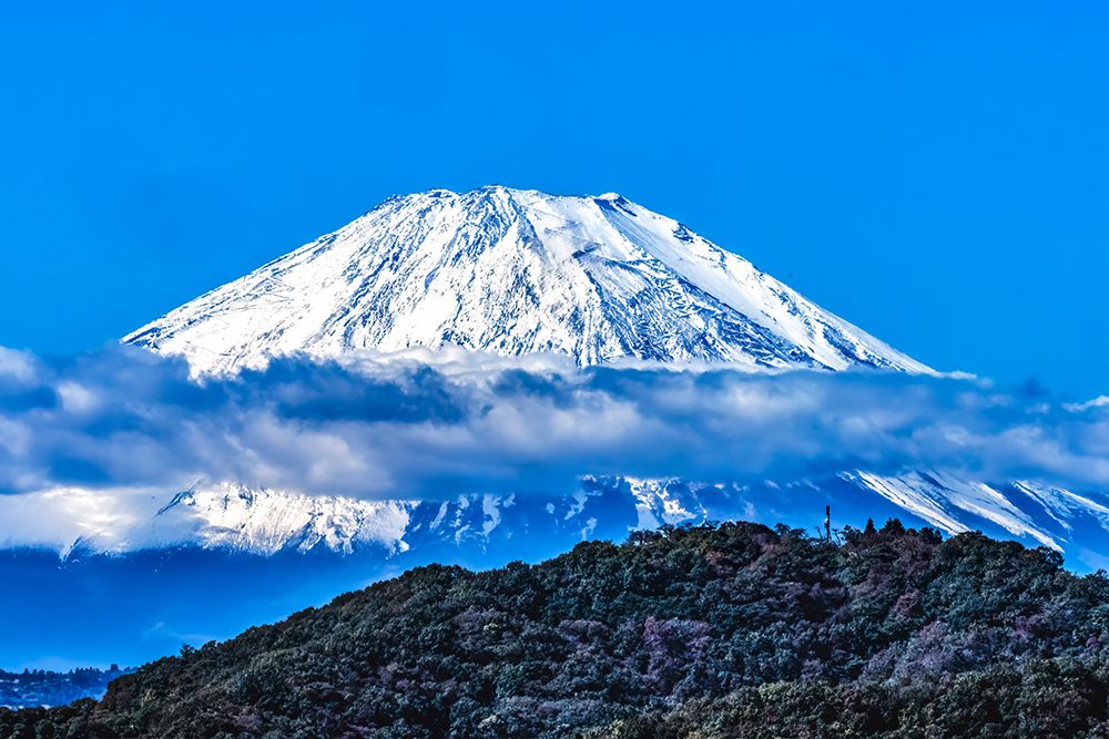 Colorful snowy Mount Fuji, Hiratsuka, Kanagawa, Japan. Highest mountain in Japan over 12,000 feet. art print by William Perry for $57.95 CAD