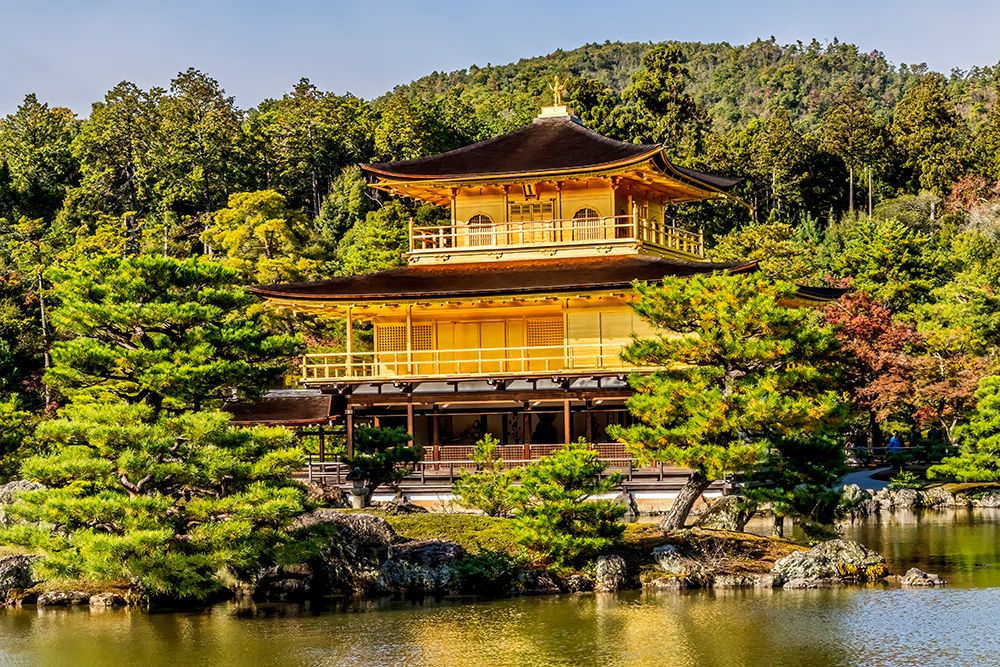 Colorful Kinkaku-Ji (Rokuon-Ji) golden pavilion, Kyoto, Japan. Dates to 1397. art print by William Perry for $57.95 CAD