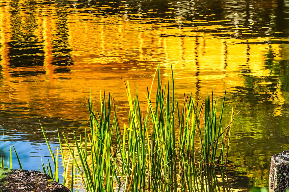Colorful water reflection, Kinkaku-Ji (Rokuon-Ji) golden pavilion, Kyoto, Japan. Dates to 1397. art print by William Perry for $57.95 CAD