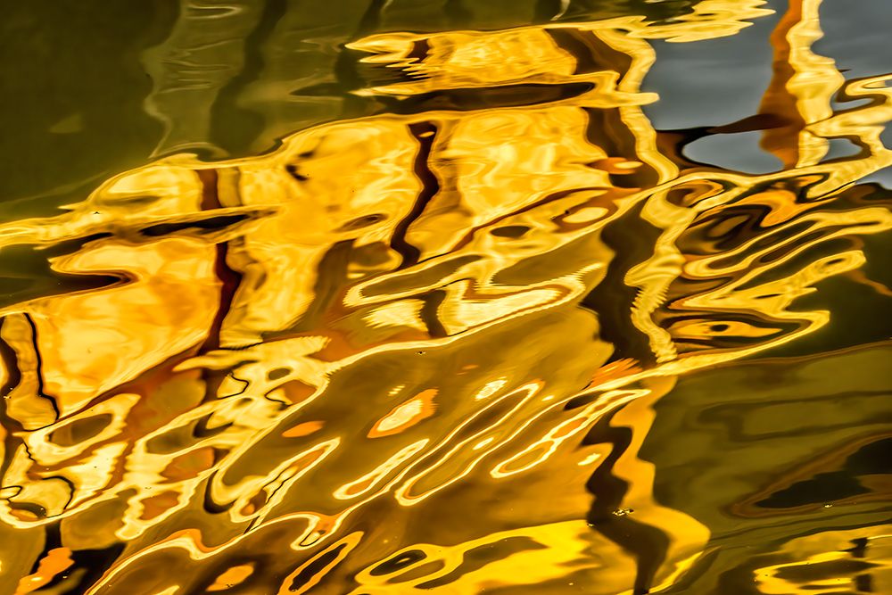 Colorful water reflection, Kinkaku-Ji (Rokuon-Ji) golden pavilion, Kyoto, Japan. Dates to 1397. art print by William Perry for $57.95 CAD
