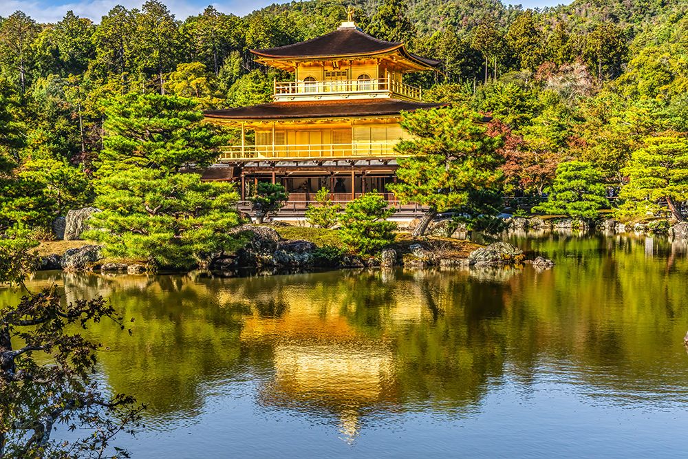 Colorful Kinkaku-Ji (Rokuon-Ji) golden pavilion, Kyoto, Japan. Dates to 1397. art print by William Perry for $57.95 CAD