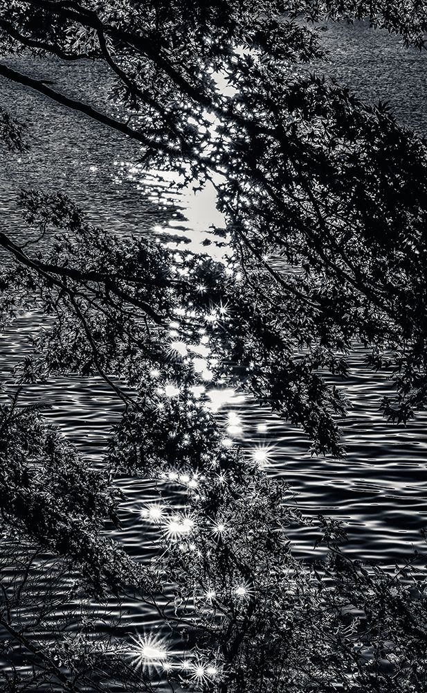 Lake Ashinoko water reflection, Hakone, Kanagawa, Japan. Stars are created in the reflection, art print by William Perry for $57.95 CAD