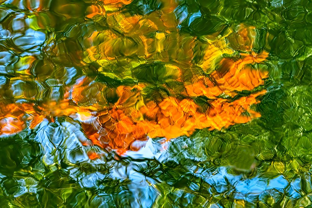 Water reflection, Furuichi Kofungun, water surrounding ancient burial mound, Habikino, Osaka, Japan art print by William Perry for $57.95 CAD