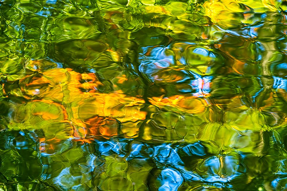 Water reflection, Furuichi Kofungun, water surrounding ancient burial mound, Habikino, Osaka, Japan art print by William Perry for $57.95 CAD