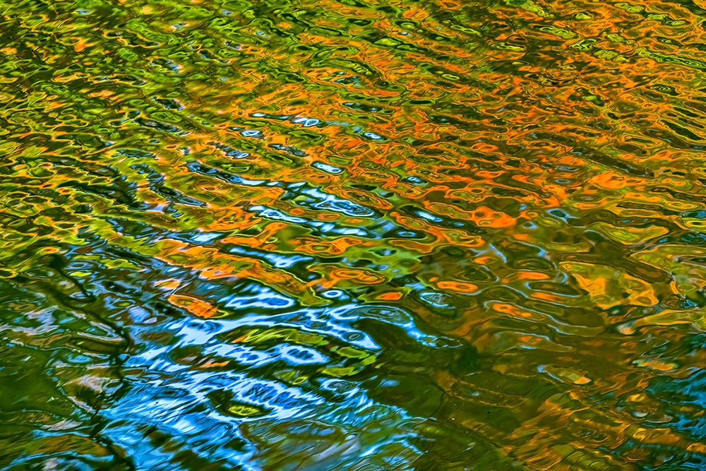 Water reflection, Furuichi Kofungun, water surrounding ancient burial mound, Habikino, Osaka, Japan art print by William Perry for $57.95 CAD