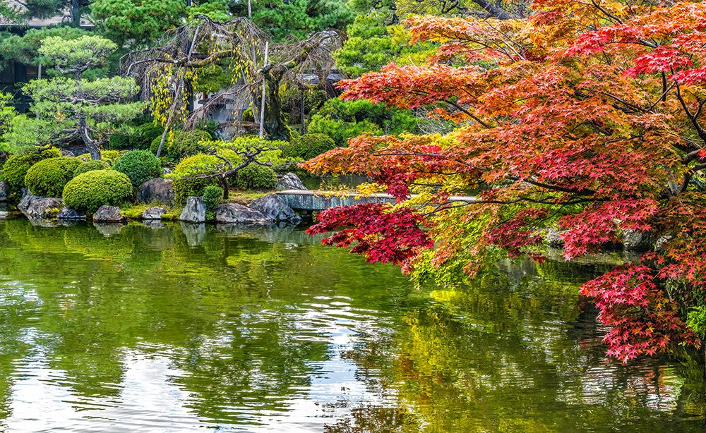 Colorful stone bridge East Lake, Heian-jingu Shrine, Kyoto, Japan. art print by William Perry for $57.95 CAD