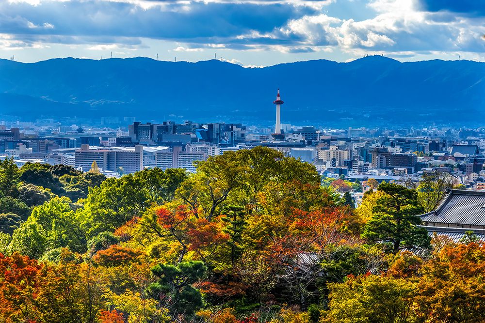 Colorful Autumn foliage, Kiyomizu Buddhist Temple, Kyoto, Japan. art print by William Perry for $57.95 CAD