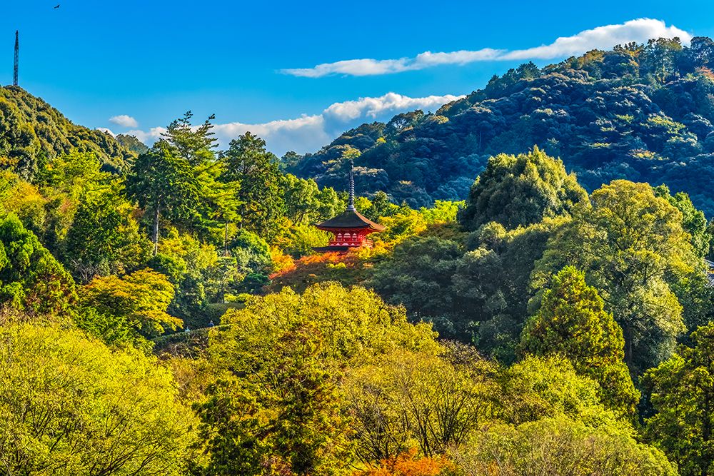 Colorful Koyasu Pagoda, Kiyomizu Buddhist Temple, Kyoto, Japan. Temple established 778 AD. art print by William Perry for $57.95 CAD