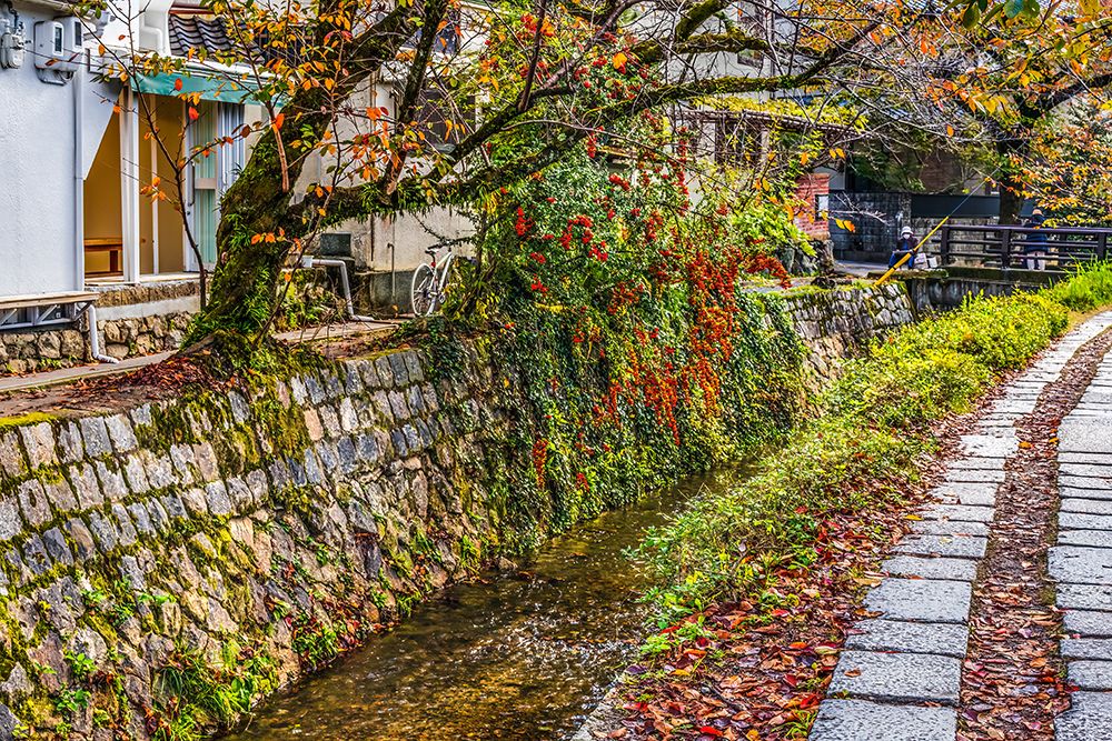 Colorful foliage, Philosophers Walk, Kyoto, Japan. Walk passes by famous temples. art print by William Perry for $57.95 CAD