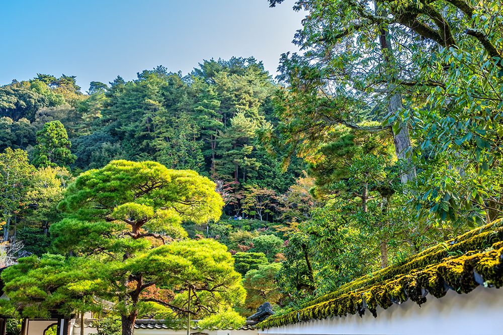 Colorful foliage,, Ginkakuji (Silver Pavilion), Kyoto, Japan. Also known as Jisho-ji. art print by William Perry for $57.95 CAD
