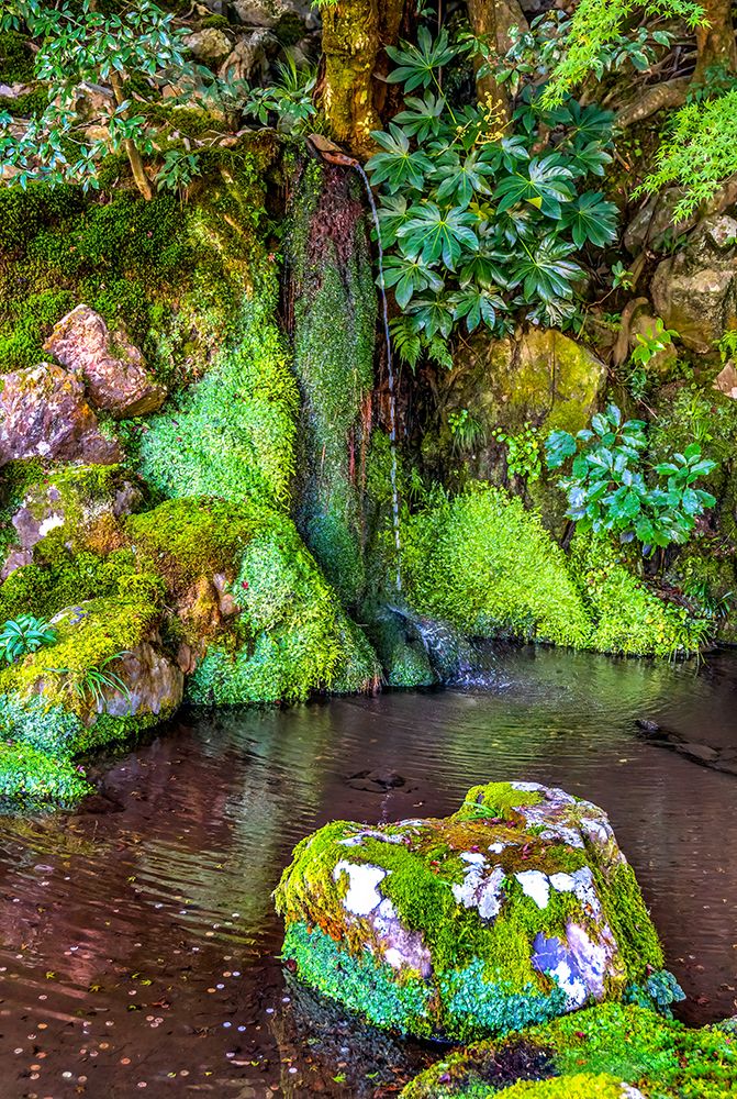 Small waterfall, Ginkaku-ji Temple, Kyoto, Japan. Built in 1460 by Ashikaga Yoshimasa. art print by William Perry for $57.95 CAD